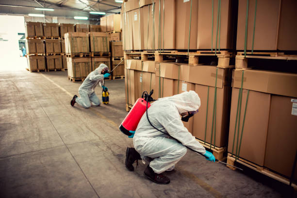 Best Best Pest Control Companies  in Quartz Hill, CA