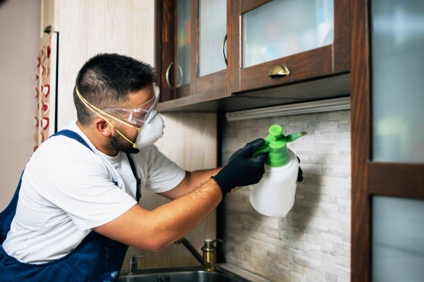 Best Pest Control Near Me  in Quartz Hill, CA