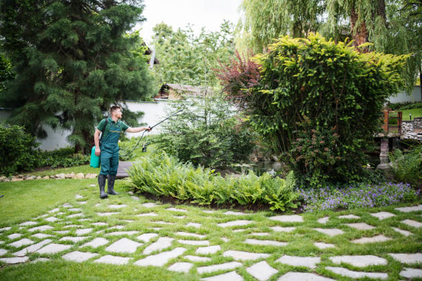 Bird Control in Quartz Hill, CA
