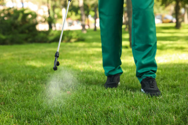 Best Commercial Pest Control Services  in Quartz Hill, CA