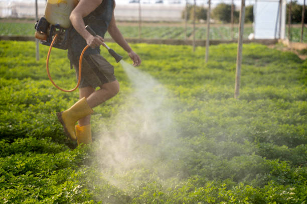  Quartz Hill, CA Pest Control Pros