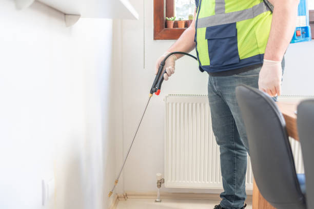 Best Rat Extermination Near Me  in Quartz Hill, CA