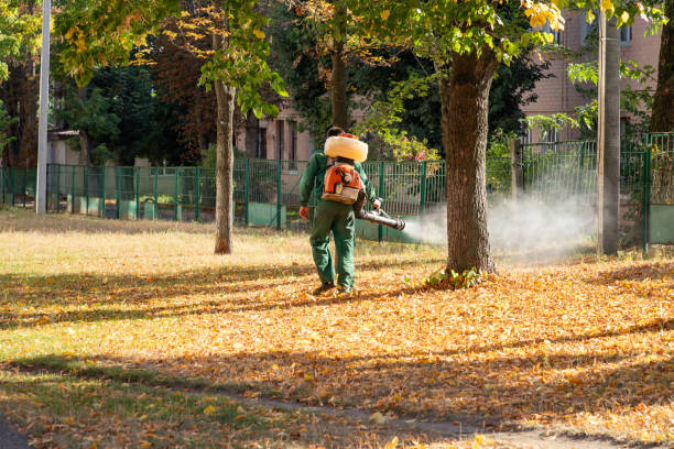 Best Wasp Removal Services  in Quartz Hill, CA