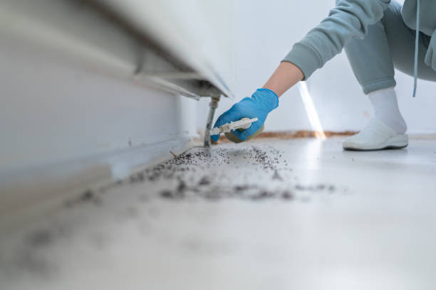 Best Residential Pest Control  in Quartz Hill, CA